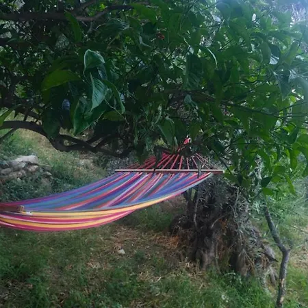 Euphoria Living Prázdninový dům *