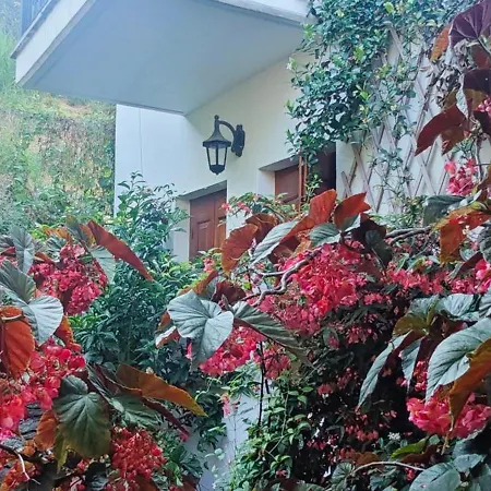 Euphoria Living * Pouríon