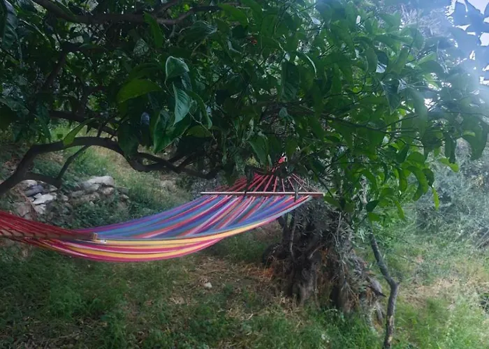 Euphoria Living Case de vacanță *