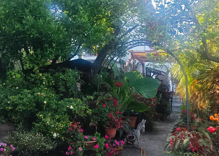 Euphoria Living Case de vacanță