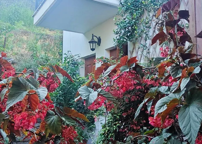 Euphoria Living * Pouríon