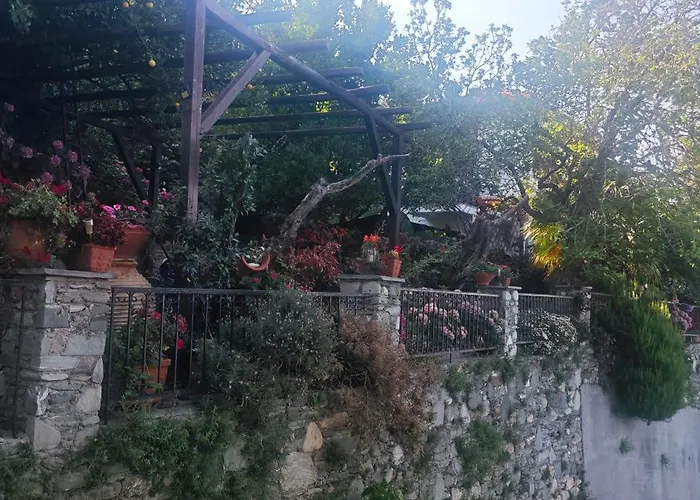 Case de vacanță Euphoria Living